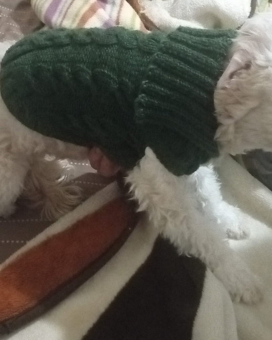 Hand Knitted Dog Sweater – Minimal Nordic Knit