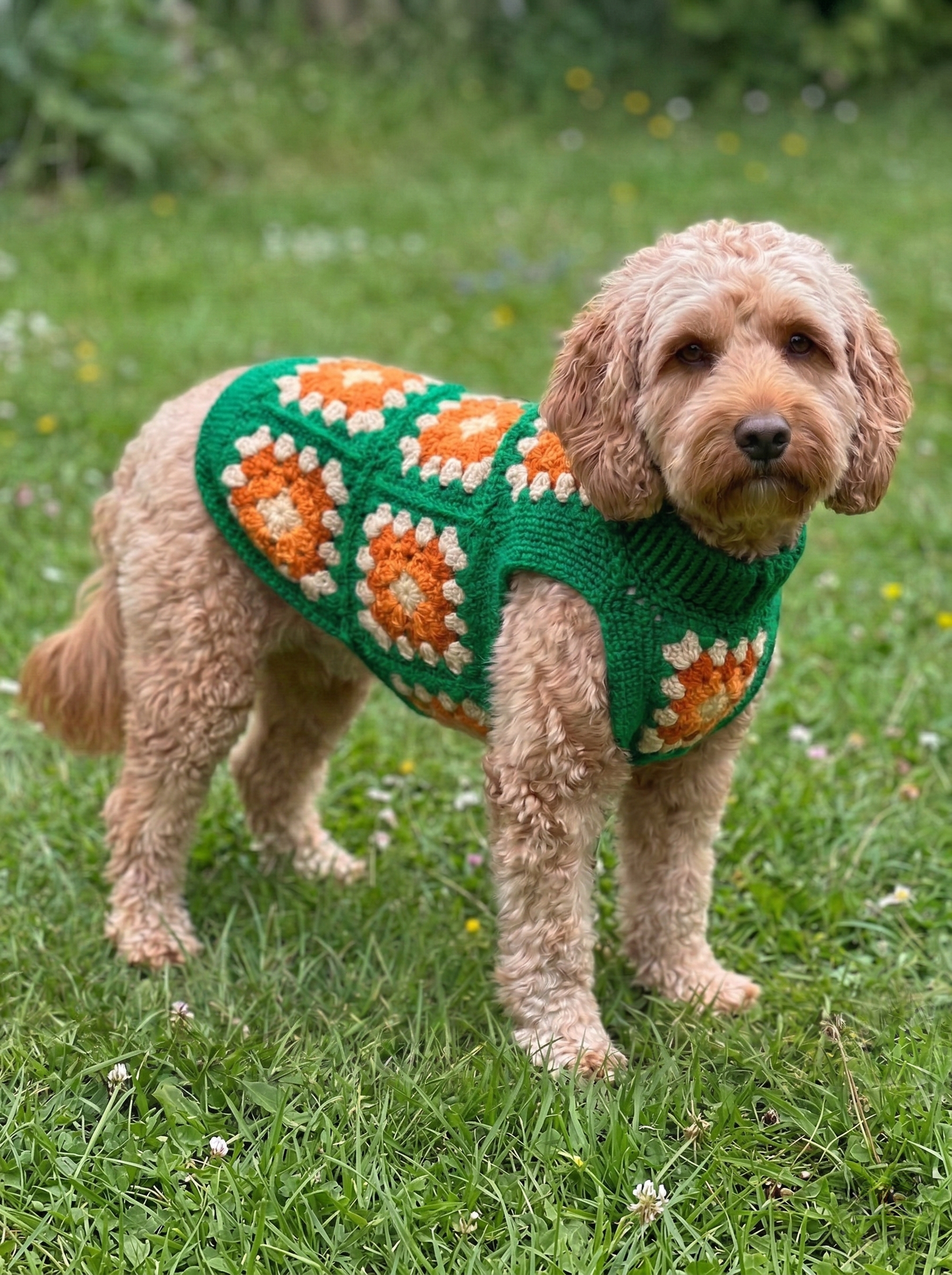 Hand-Crocheted Granny Square Dog Sweater, 100% Merino Wool, Boho Pet Clothes
