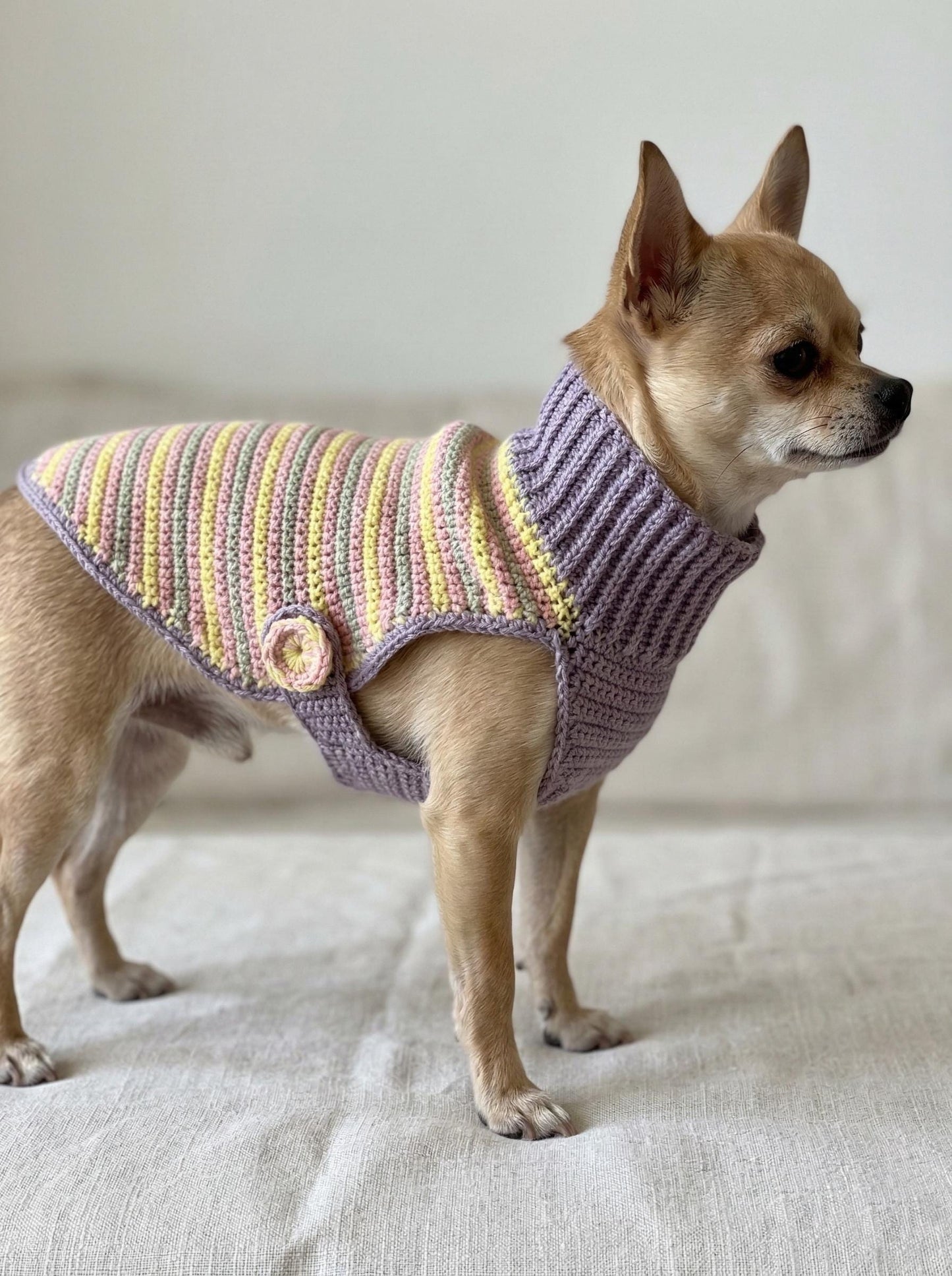 Hand-Crocheted Merino Wool Dog Sweater – Pastel Stripes, Easter Outfit