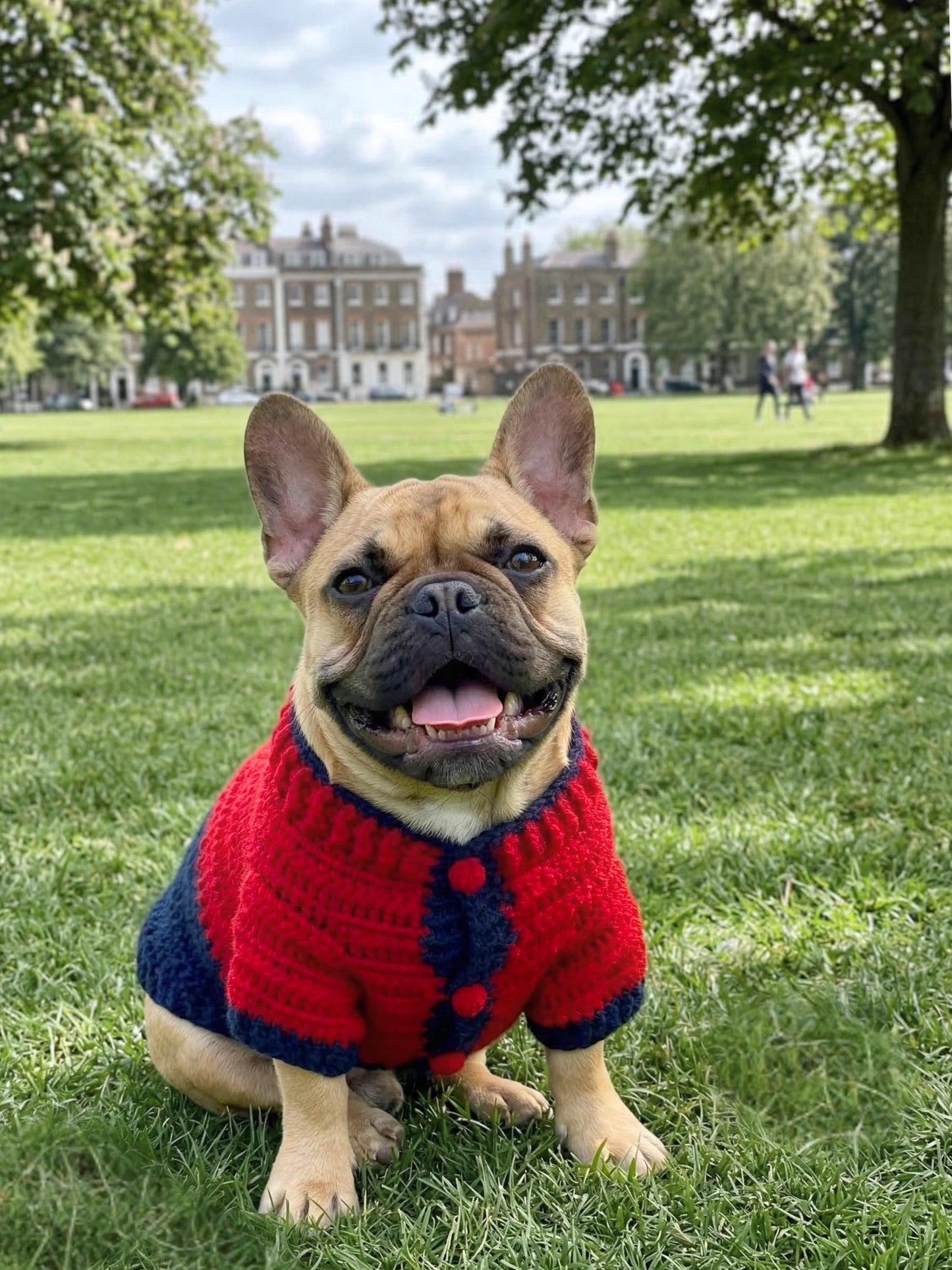 Custom Hand-Knit Dog Sweater - 100% Superwash Merino Wool Luxury Jumper