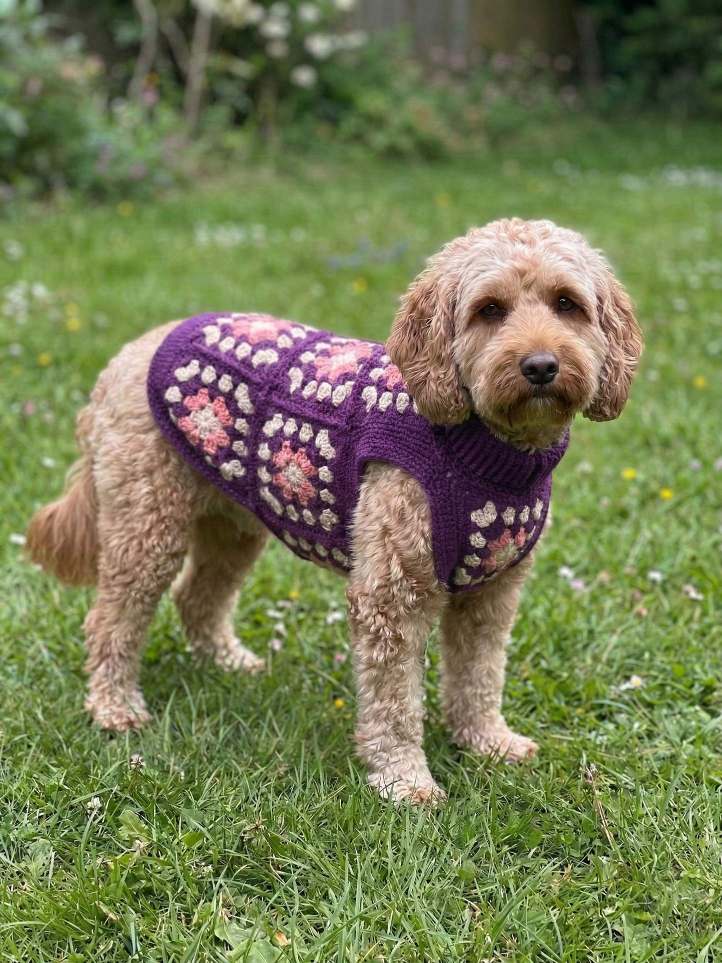 Hand-Crocheted Granny Square Dog Sweater, 100% Merino Wool, Boho Pet Clothes
